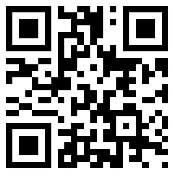 阜新市十环电子有限公司